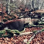 Prázdninový dům Domaine Du Mas Bresson 26 Personnes