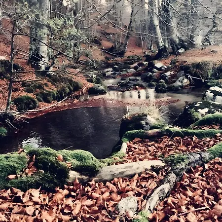 Ferienhaus Domaine Du Mas Bresson 26 Personnes